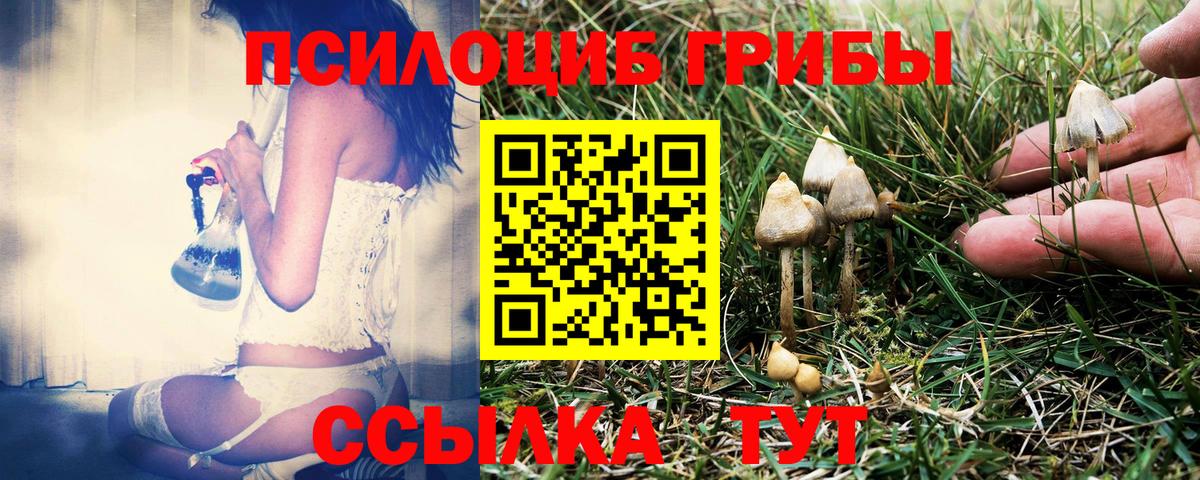 Псилоцибиновые грибы MAGIC MUSHROOMS  Псилоцибиновые грибы Magic Shrooms  Вход с VPN  Воркута 