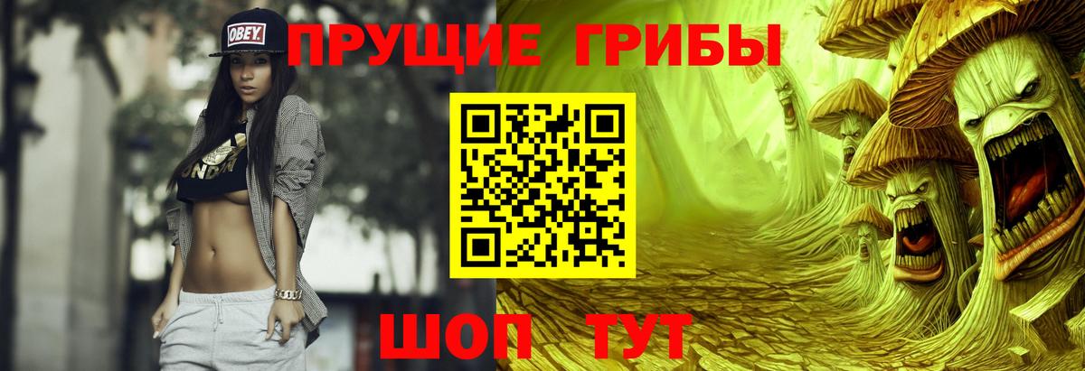 Галлюциногенные грибы прущие грибы Воркута